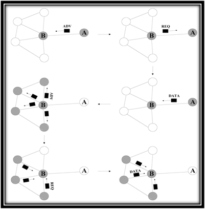 Architecture-of-Spin-Routing-Protocol